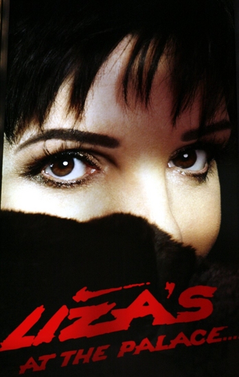 Photo Coverage: 'LIZA'S AT THE PALACE...!' Marquee Unveiled Image
