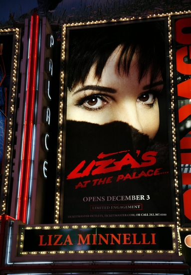 Photo Coverage: 'LIZA'S AT THE PALACE...!' Marquee Unveiled Image
