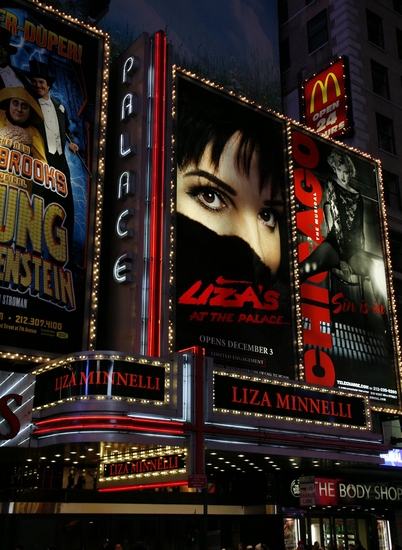 Photo Coverage: 'LIZA'S AT THE PALACE...!' Marquee Unveiled Image