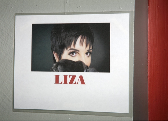 Photo EXCLUSIVE: LIZA'S AT THE PALACE...! After Party Image