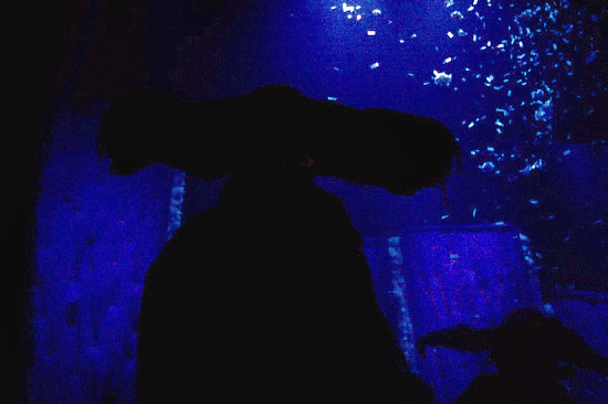 Photo Coverage: SLAVA'S SNOW SHOW Opening Night Image