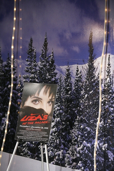 Photo Coverage: Liza Minnelli 'Pedals for Power' for BC/EFA Image