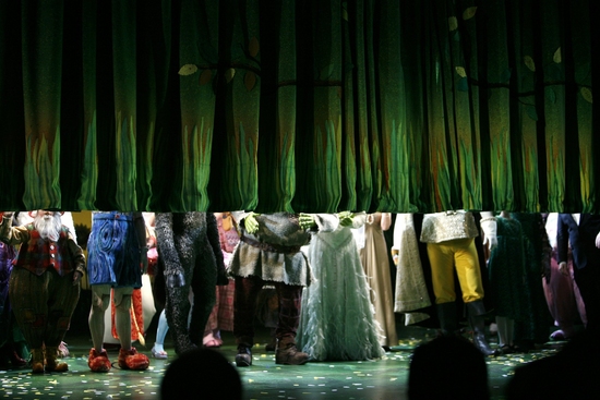 Photos Shrek The Musical Opening Night Curtain Call S
