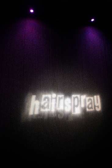 Photo Coverage: 'HAIRSPRAY' Closing Night Party Image