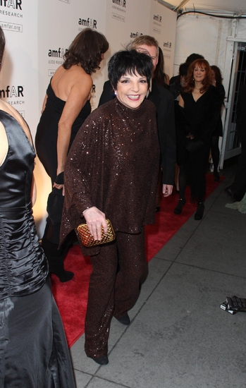 Photo Coverage: The 2009 amfAR Honors Image