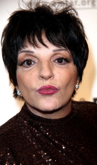 Photo Coverage: The 2009 amfAR Honors Image