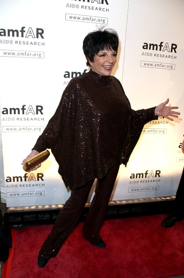 Photo Coverage: The 2009 amfAR Honors Image