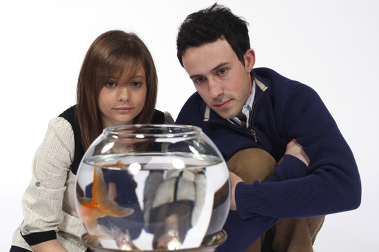 Photo Flash: GOLDFISH At SCR Image