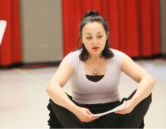 Photo Flash: GHOSTWRITTEN at Goodman Theatre Image