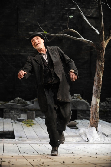 Photo Flash: WAITING FOR GODOT at Royal Haymarket Image