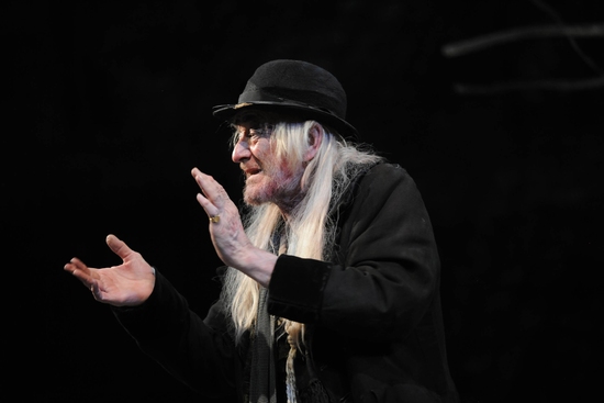 Photo Flash: WAITING FOR GODOT at Royal Haymarket Image