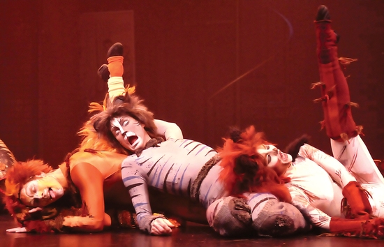 Photo Flash: CATS At Beef And Boards Dinner Theater Image