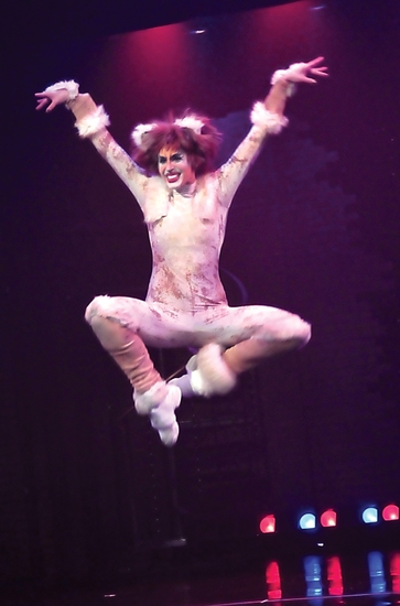 Photo Flash: CATS At Beef And Boards Dinner Theater 