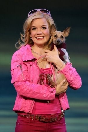 Photo Flash: Legally Blonde The Musical Hits Chicago Image