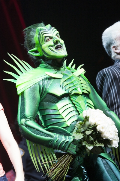 Photo Coverage: Robert Cuccioli Takes First Bow as SPIDER-MAN's 'Green Goblin'  Image