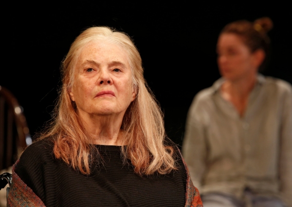 Photo Flash: First Look at Signature Theatre's HEARTLESS- Production Shots! Image