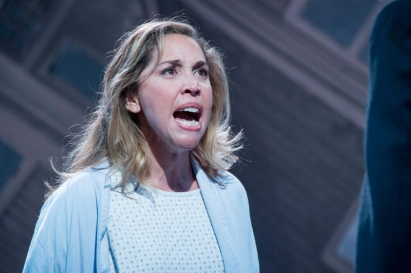 Photo Flash: Andréa Burns, Chris Hoch and More in Hangar Theatre's NEXT TO NORMAL 