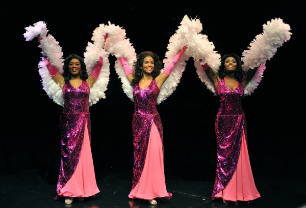 Photo Flash: Raena White and More in The Marriott Theatre's DREAMGIRLS, Opening Tonight, 8/29 
