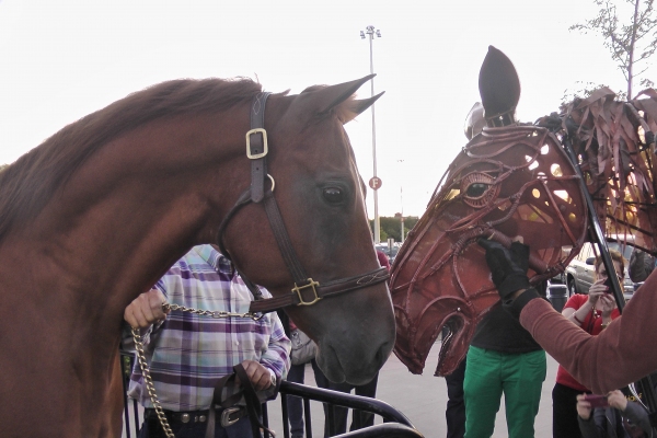 Photo Flash: WAR HORSE Cast Makes Appearance at Citi Field! Image