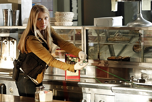 Photo Coverage: Preview CSI: CRIME SCENE INVESTIGATION's 10/10 Episode - 'Code Blue Plate Special' Image