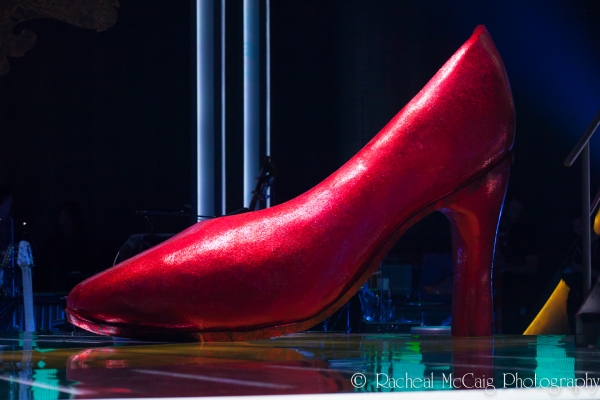 Ruby Slippers Photo