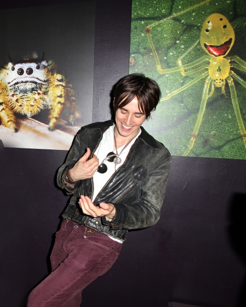 Photo Coverage: SPIDER-MAN Cast Visits 'Spiders Alive!' Exhibit Image