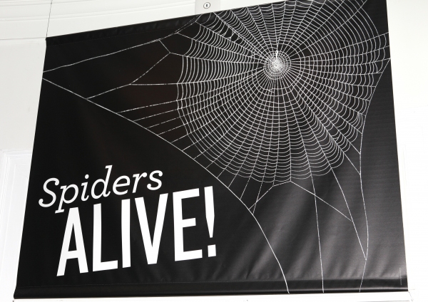 Photo Coverage: SPIDER-MAN Cast Visits 'Spiders Alive!' Exhibit Image