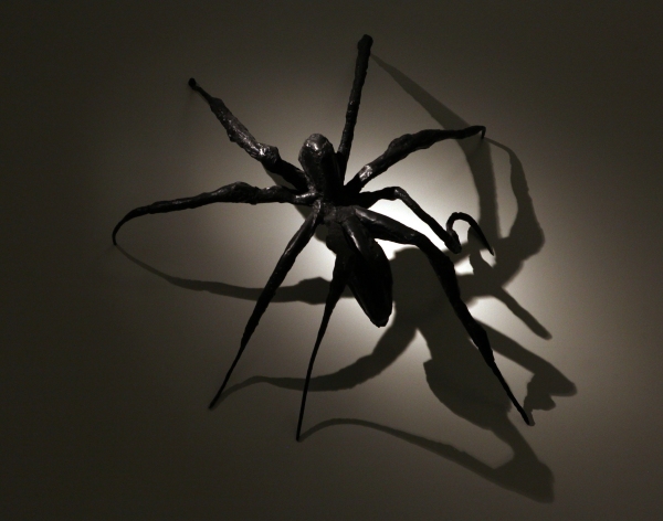 Photo Coverage: SPIDER-MAN Cast Visits 'Spiders Alive!' Exhibit Image