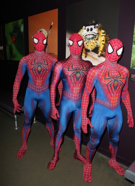 Photo Coverage: SPIDER-MAN Cast Visits 'Spiders Alive!' Exhibit Image