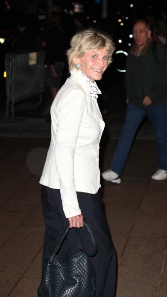 Photo Coverage: Alan Cumming, Susan Lucci, and More Gather for Marvin Hamlisch Memorial - Arrivals Image