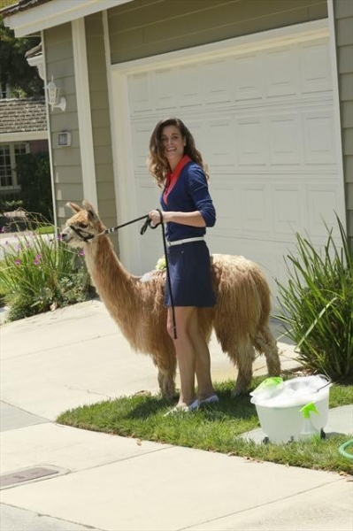 Photo Coverage: Sneak Peak at THE NEIGHBORS on 10/3 Image