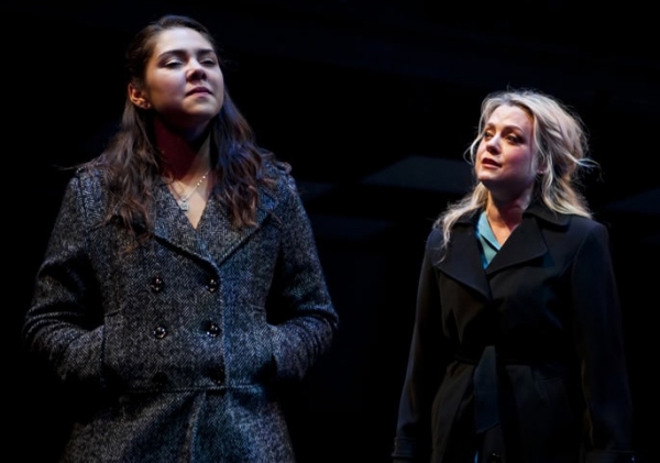 Photo Flash: First Look at Joe Cassidy, Kendra Kassebaum and More in NEXT TO NORMAL - Opening 1/10 in San Jose! Image
