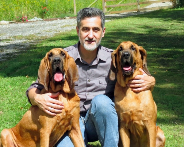 Photo Flash: A CHRISTMAS STORY Will Feature Rescued Bloodhounds Pete and Lily, Trained by William Berloni Image