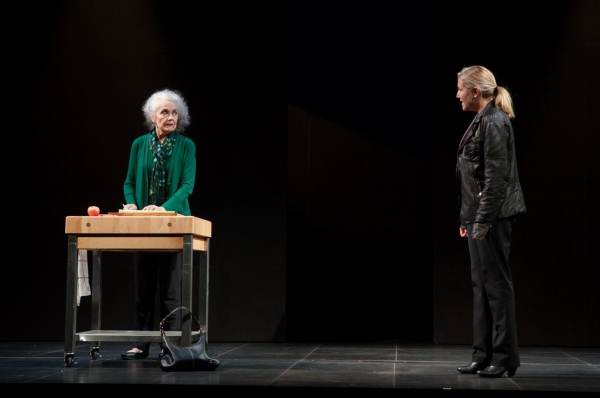 Photo Flash: First Look at Atlantic Theater Company's HARPER REGAN Image