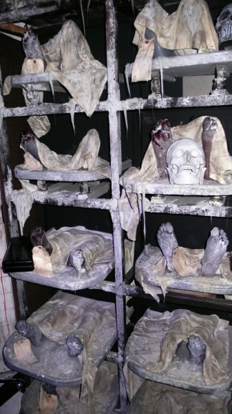Photo Coverage: Inside the 'Blood Manor' Press Preview Image