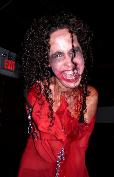 Photo Coverage: Inside the 'Blood Manor' Press Preview Image