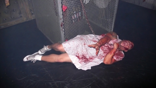 Photo Coverage: Inside the 'Blood Manor' Press Preview Image