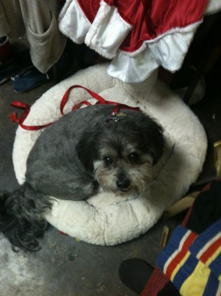 Photo Flash: Saturday Intermission Pics, October 6 - Part 2 - PHANTOM Supports PBS, Hello from Paper Mill's A CHORUS LINE and More!  Image