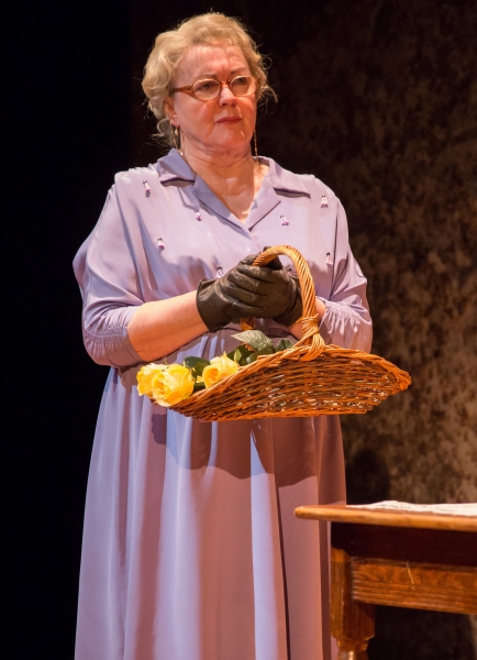 Photo Flash: First Look at Gwen Taylor and Don Warrington in DRIVING MISS DAISY UK Tour 