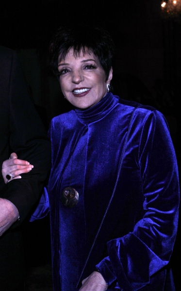Photo Coverage: Liza Minnelli and More Gather to Honor Nederlanders as Living Landmarks Image