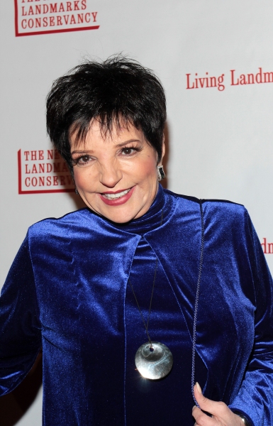 Photo Coverage: Liza Minnelli and More Gather to Honor Nederlanders as Living Landmarks 