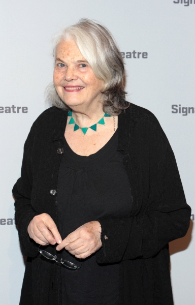 Photo Coverage: Inside Opening Night of GOLDEN CHILD Image