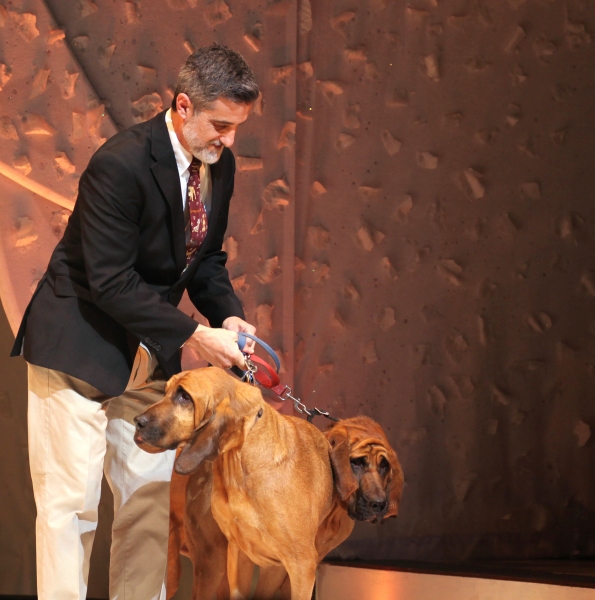 Photo Coverage: A CHRISTMAS STORY Opening Night Curtain Call!  Image