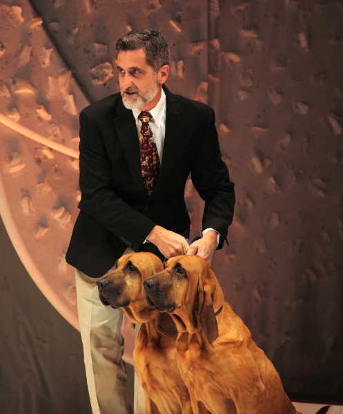 Photo Coverage: A CHRISTMAS STORY Opening Night Curtain Call!  Image