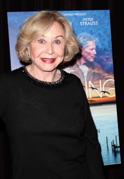Photo Coverage: Inside Opening Night of THE OUTGOING TIDE Image