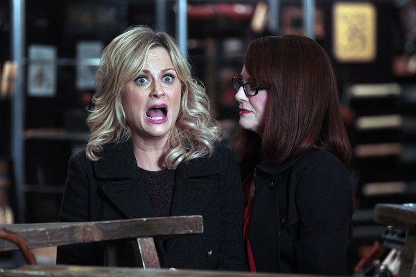 Photo Flash: First Look - Christie Brinkley on PARKS AND RECREATION Image