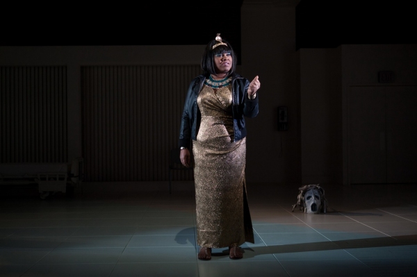 Photo Flash: First Look at Chris Bauer, Da'Vine Joy Randolph and More in Atlantic Theater's WHAT RHYMES WITH AMERICA Image