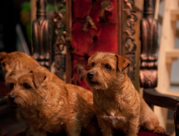 Photo Coverage: Sneak Peek at Toronto's All-Canadian WIZARD OF OZ Image