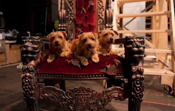 Photo Coverage: Sneak Peek at Toronto's All-Canadian WIZARD OF OZ Image