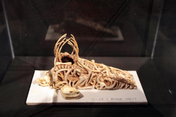 Photo Coverage: INSIDE THE LION KING Bryant Park Pop-Up Exhibit! Image